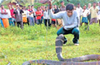 Golden 50 figure surpassed by snake catcher  in Udupi